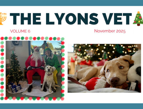 The Lyons Vet – November 2025 Newsletter