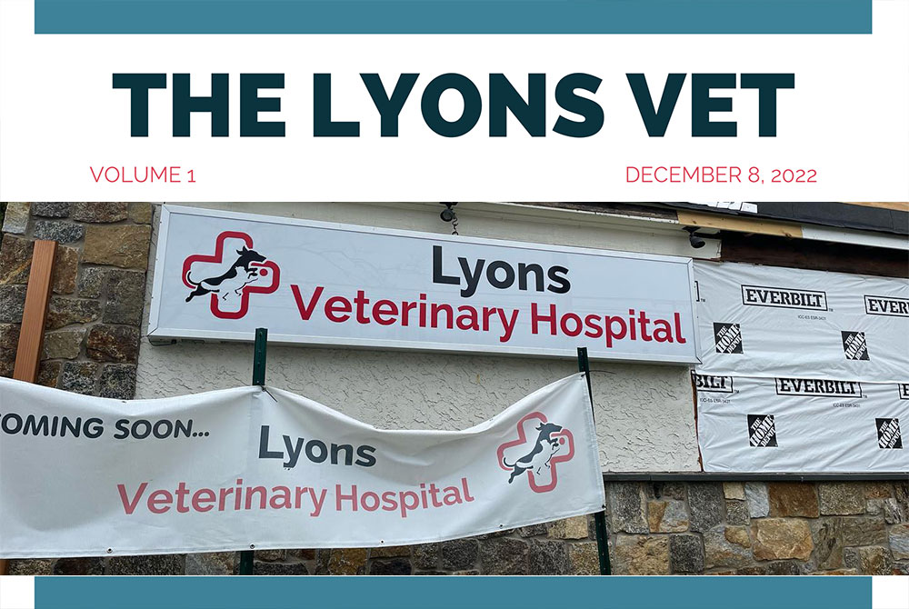 The Lyons Vet – Newsletter - Lyons Veterinary Hospital