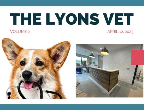 The Lyons Vet – April Newsletter