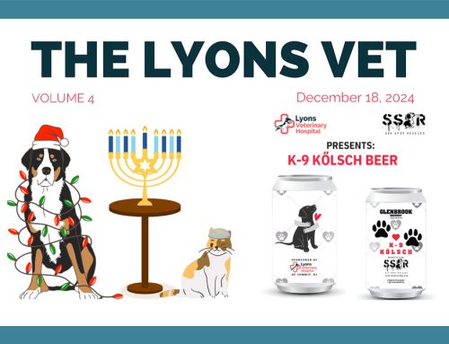 The Lyons Vet – December 2024 Newsletter